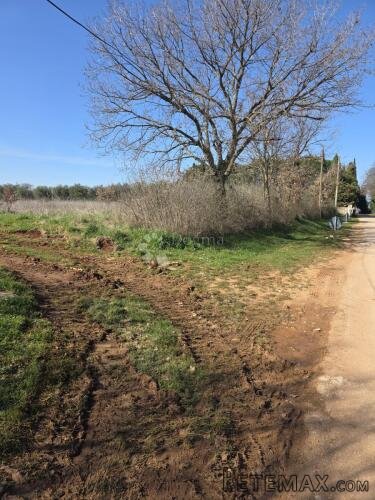 Kaštelir - atraktivno građevinsko zemljište s pogledom na mo - 3