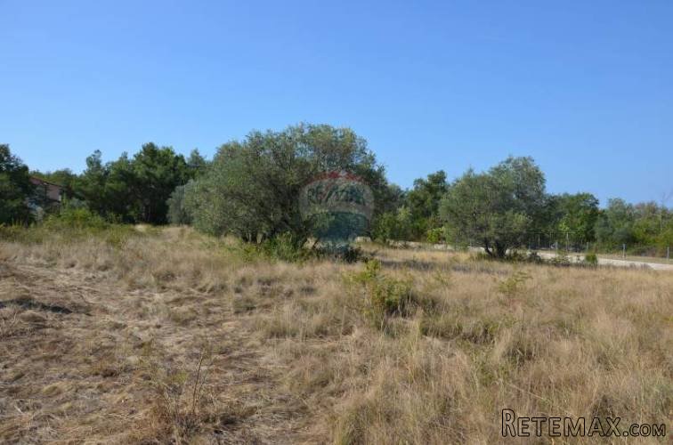 Buje, okolica, građevinsko zemljište 3436 m2 - 3