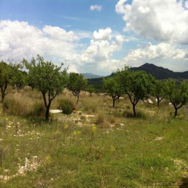 Salinas- 3 Bed Detached New Build Villa.. - 2