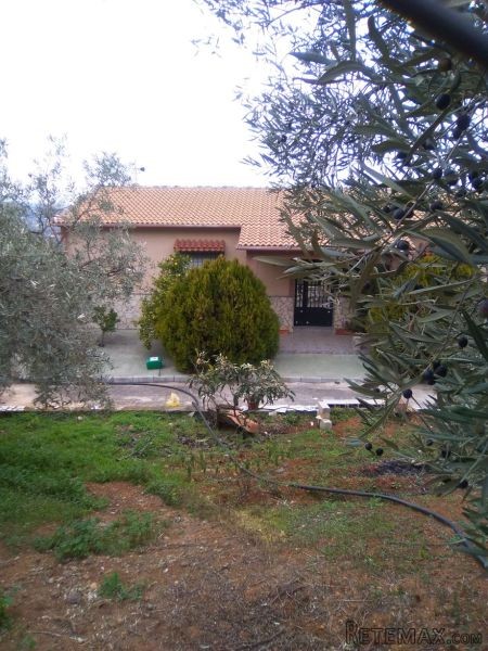 Bungalow*
