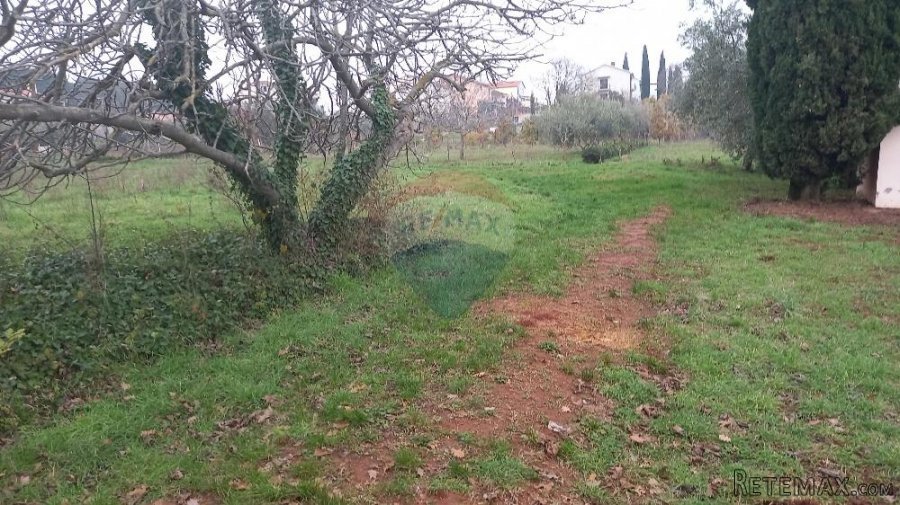 Pula,veliki maslinik u predgrađu, djelomično građevinsko zem - 7