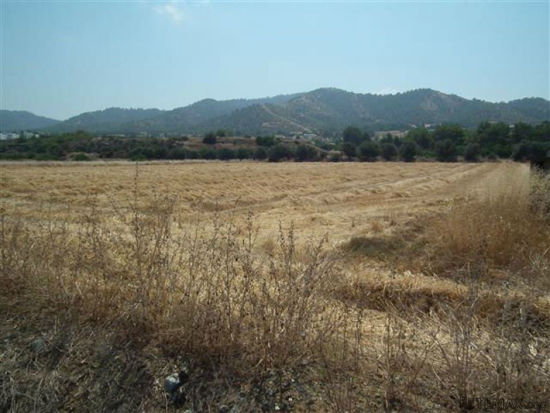 Land - Paphos - For Sale - 2
