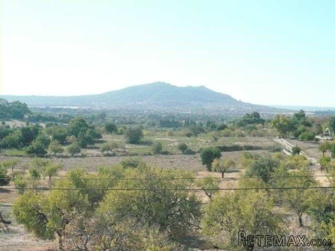 Great groundfloor apartment in the quiet village of Moscari.. - 2