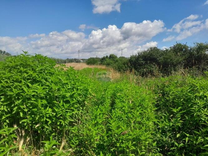 Istra,Medulin,poljoprivredno zemljište - 2