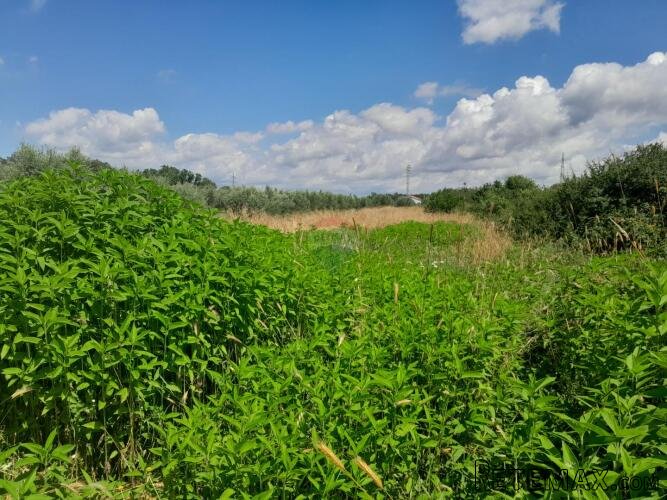 Istra,Medulin,poljoprivredno zemljište - 3
