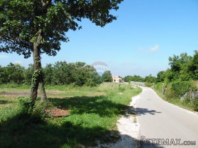 Istra, Marići, veliko građevinsko zemljište na rubu mjesta