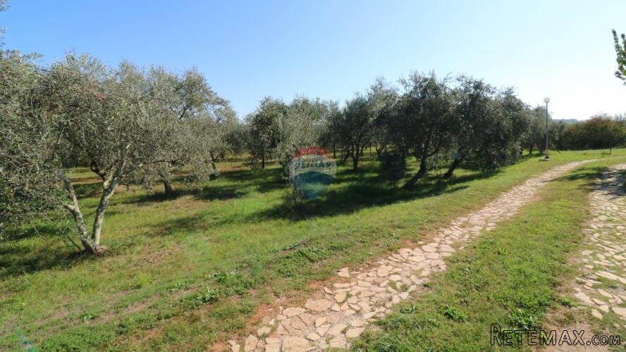 Istra, Brtonigla - Građevinsko zemljište za gradnju kuće - 2