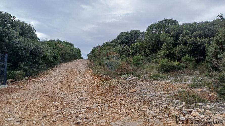 Istra, Peruški okolica, šuma blizu mora - 3