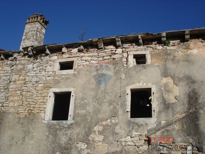 RAKALJ, STARINA SA VELIKOM OKUĆNICOM - 2