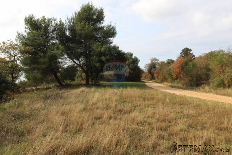 VABRIGA,ATRAKTIVNO GRAĐEVINSKO ZEMLJIŠTE T2, 300M OD MORA - 4