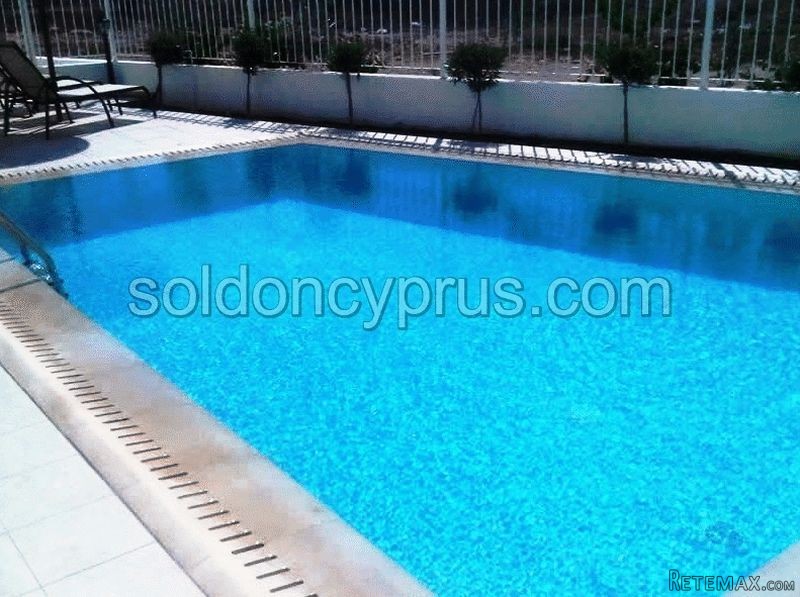 Sold on Cyprus - 2