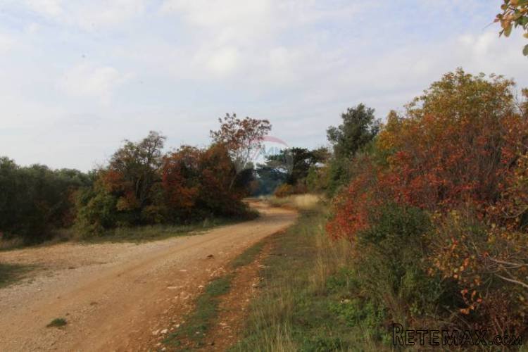 VABRIGA,ATRAKTIVNO GRAĐEVINSKO ZEMLJIŠTE T2, 300M OD MORA - 5