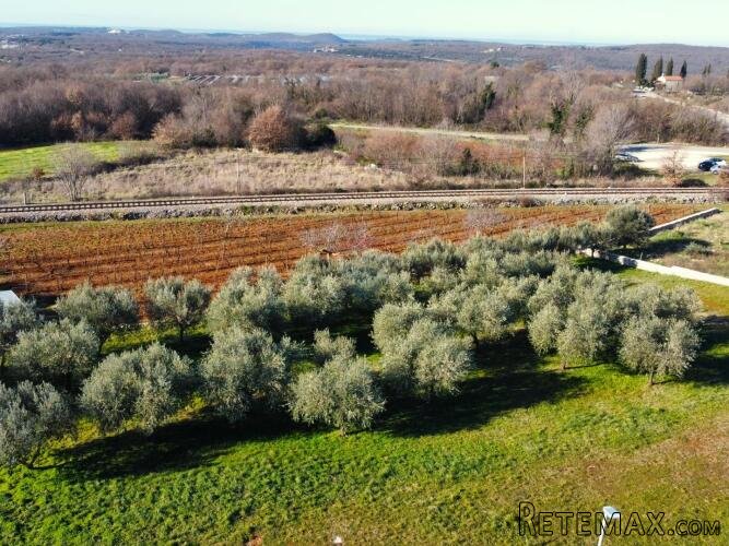 Kanfanar - fantastična parcela s pogledom na more 2754 m2 - 2