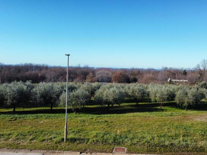 Kanfanar - fantastična parcela s pogledom na more 2754 m2 - 3