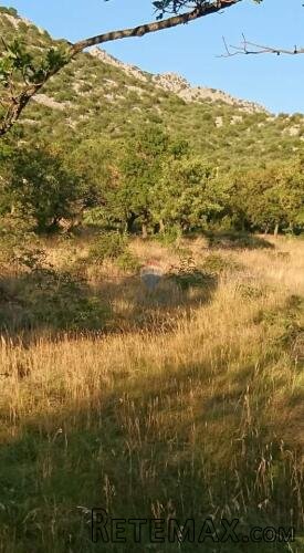 Karlobag, građevinsko zemljište 1260m2 s pogledom na more - 3