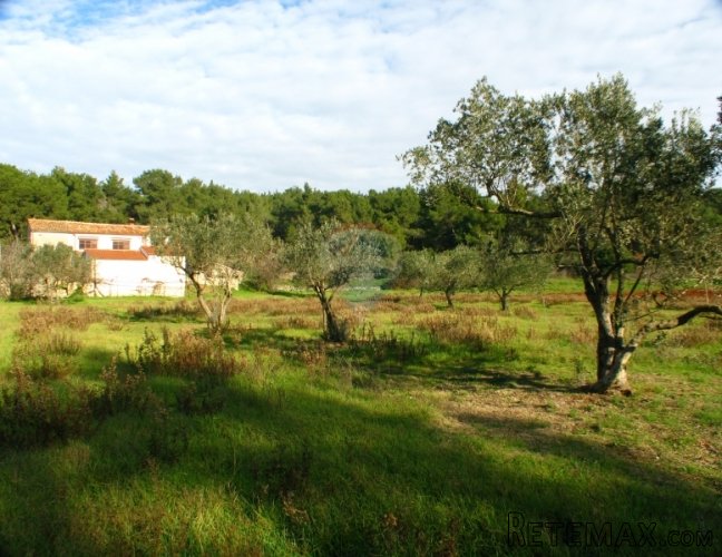 PULA,VELI VRH KOMBINACIJA GRAĐEVINSKOG 1751 M2 I... - 4
