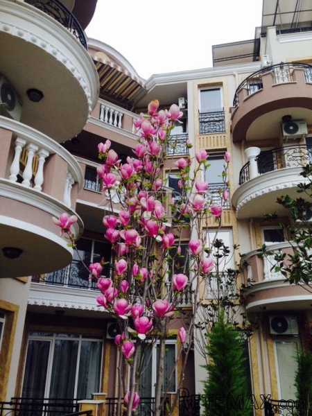 Furnished 1-bedroom apartment in Melia.. - 2