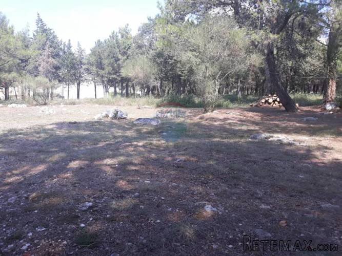 Građevinsko zemljište 300m od mora u okolici Umaga - 3
