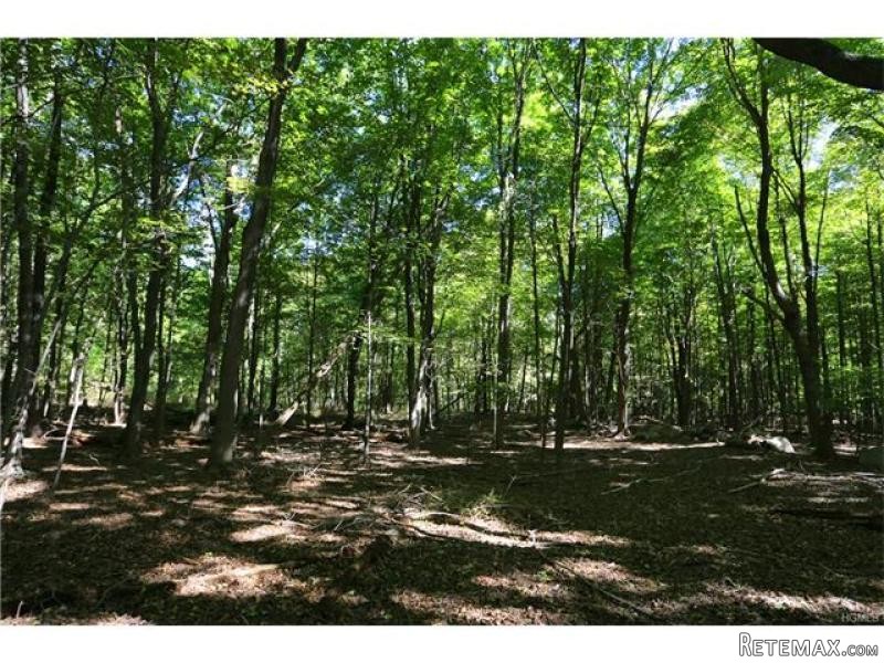 Land For Sale: Westchester Avenue Pound..
