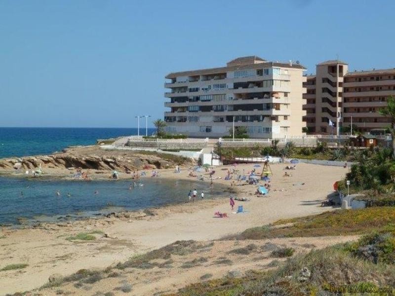 1 Bedroom - Apartment - Alicante - For.. - 2