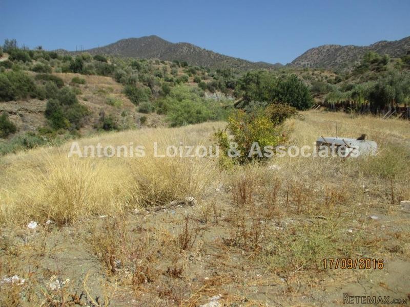 Agricultural Plot