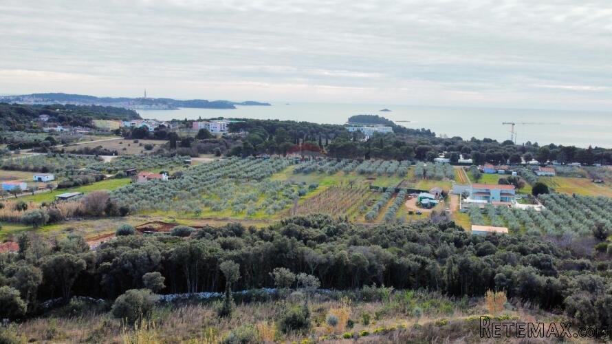 Rovinj - zemljište s pogledom na stari grad i more 12.000m2 - 2