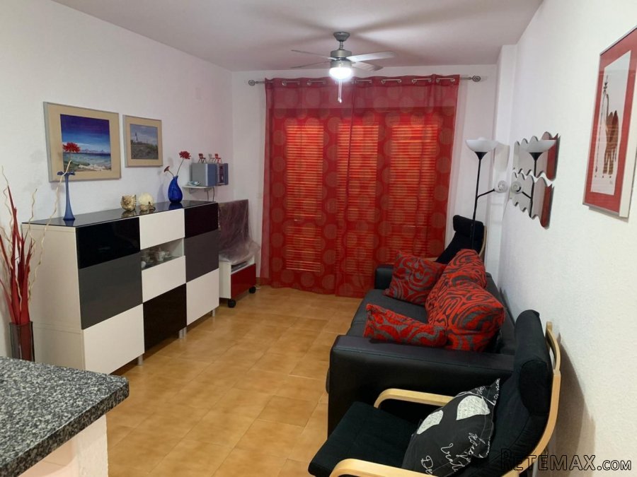 Apartamento de 2 dormitorios y 1 baño idóneo para d.. - 3