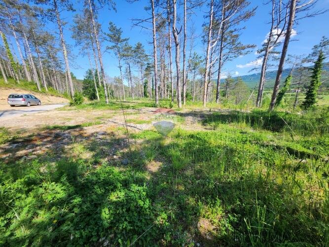 Istra, Buzet - 18ha, zemljište u prenamjeni - 2