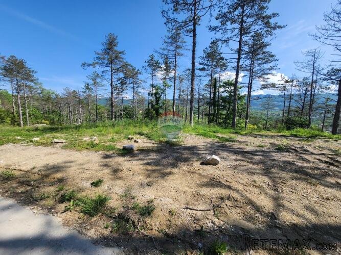 Istra, Buzet - 18ha, zemljište u prenamjeni - 3
