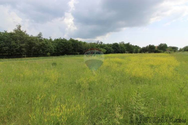 ISTRA, OKOLICA ŽMINJA, GRAĐEVINSKO ZEMLJIŠTE 1785 m2