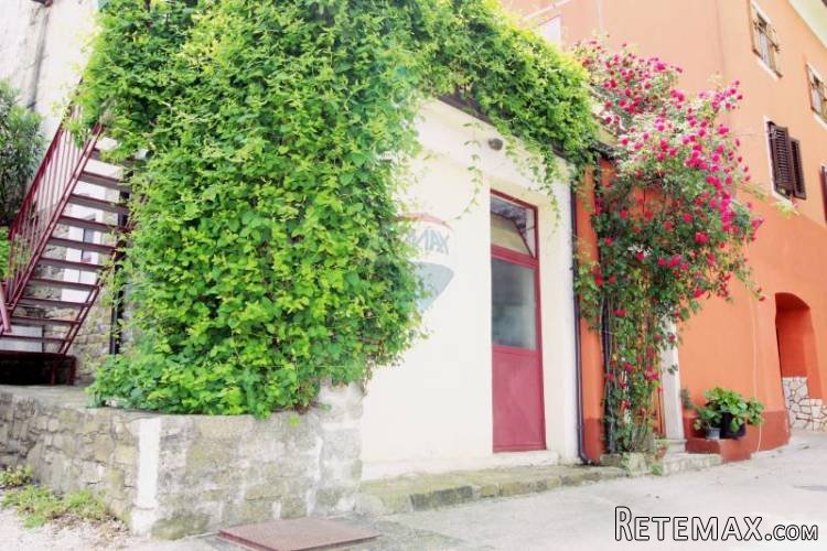 Dvojna kuća s prekrasnim pogledom - Buje - 2
