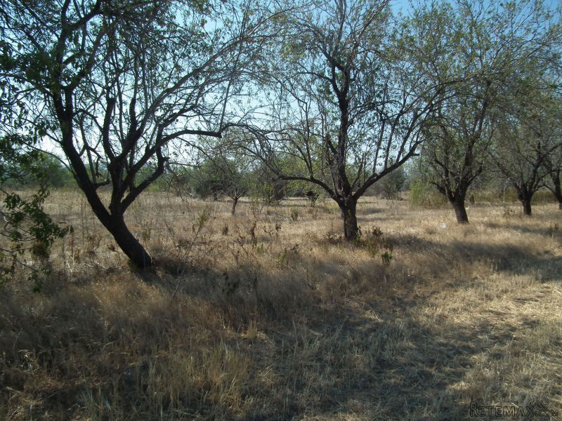 Land - Paphos - For Sale - 2