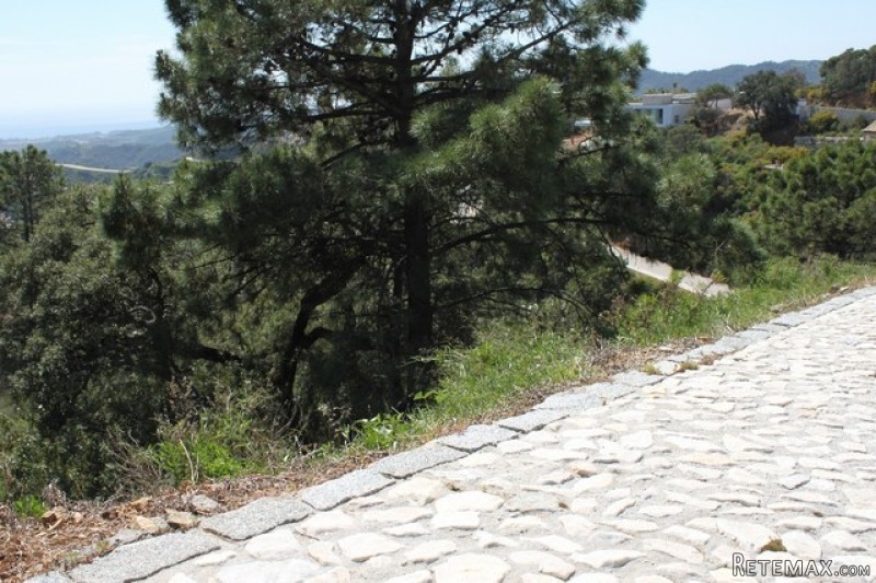 751031 - Plot For sale in Golf..