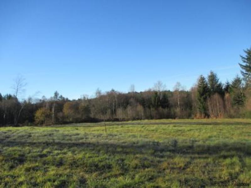 House on Over Two Hectares - 2