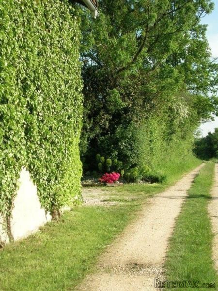 2 Stone Houses Set On 1 Hectare Of Land.. - 2