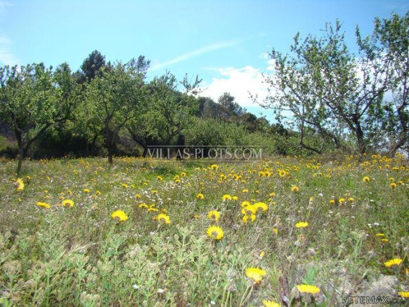Plot In Benissa