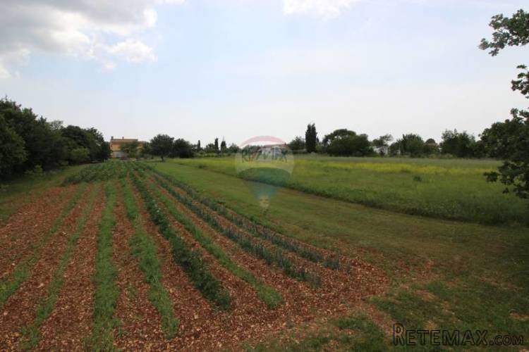 ISTRA, OKOLICA ŽMINJA, GRAĐEVINSKO ZEMLJIŠTE 1785 m2 - 2