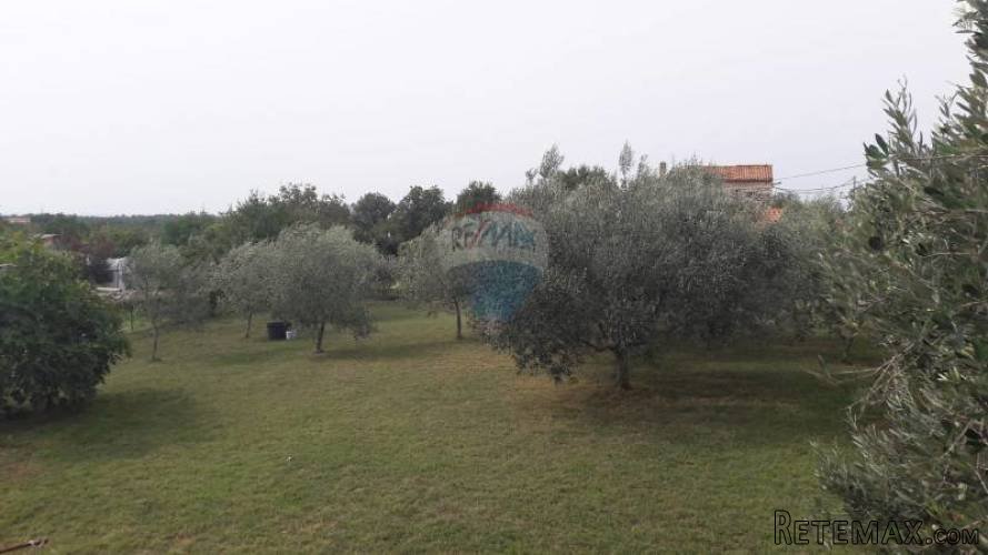 Istra, Savudrija građevinsko zemljište - 2