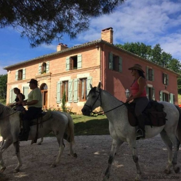 Manor House in 7.5 Hectares