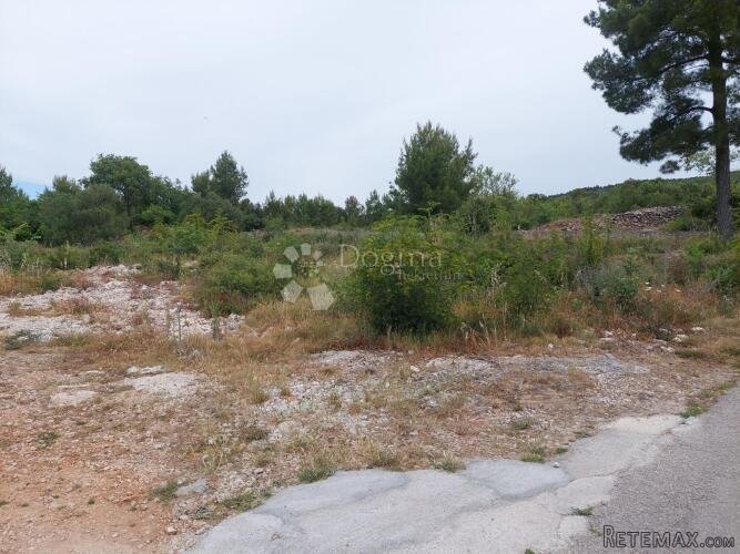 Sovlje građevinski teren - 2