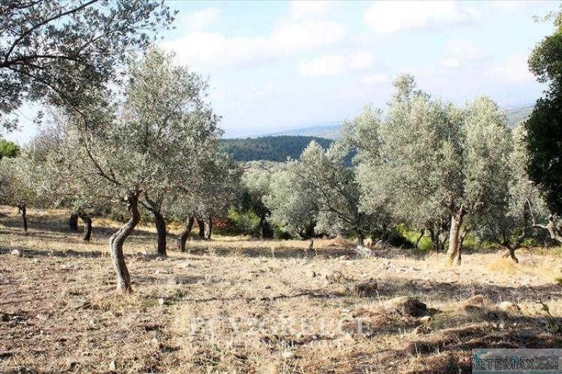Β714 - FOR SALE LAND OF 100 ACRES