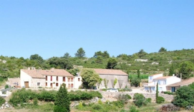 Huge Property, Wine Domain on 14.. - 2