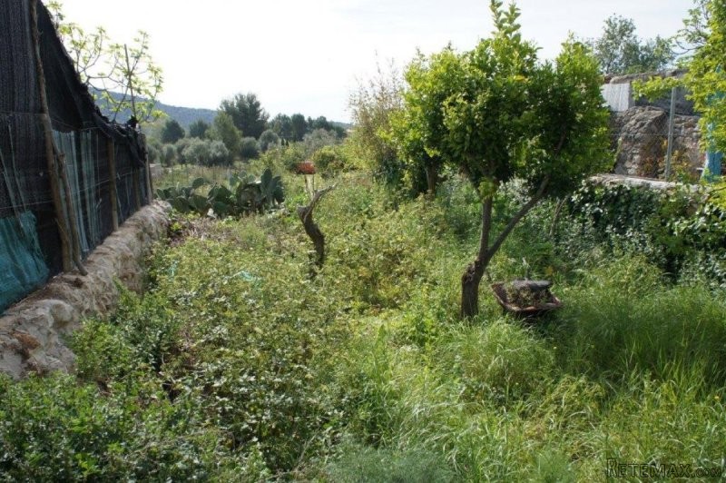 Urban building plot in Alaro