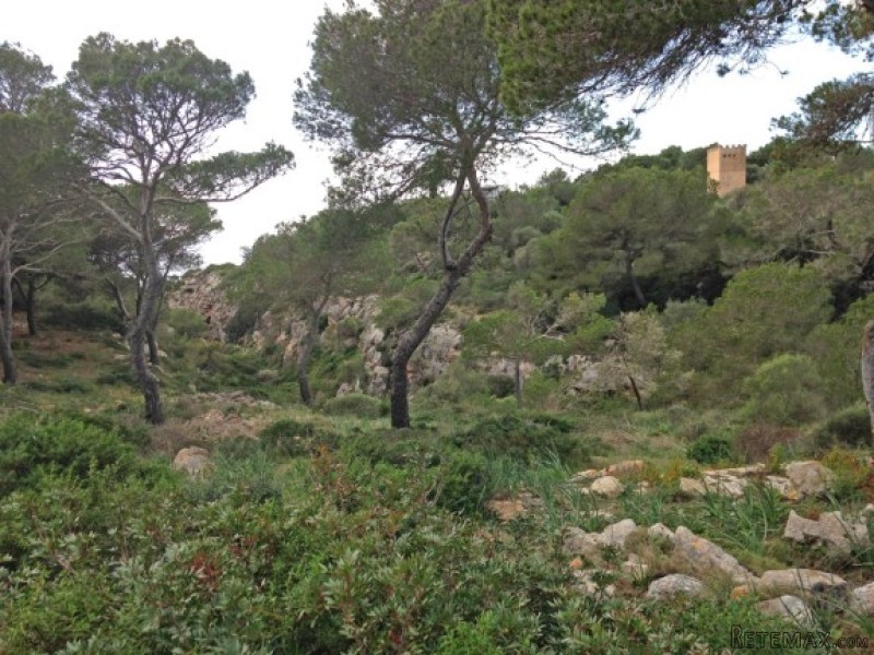 Idyllic Plot With Sea Views