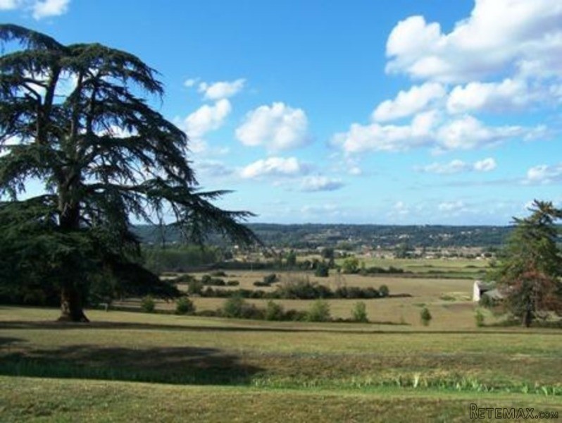 Chateau For Sale With Various.. - 2