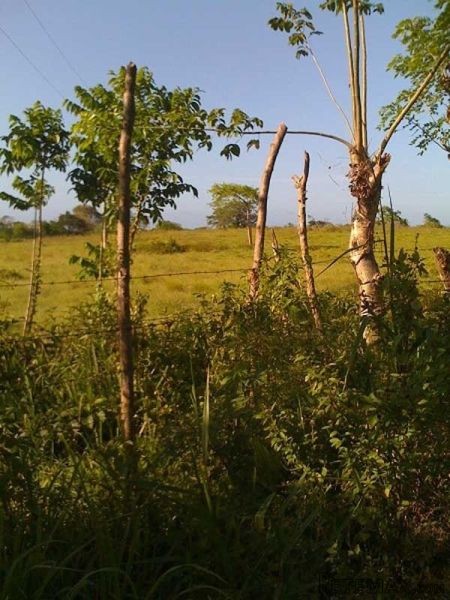 Oceanview Development Land Between.. - 2