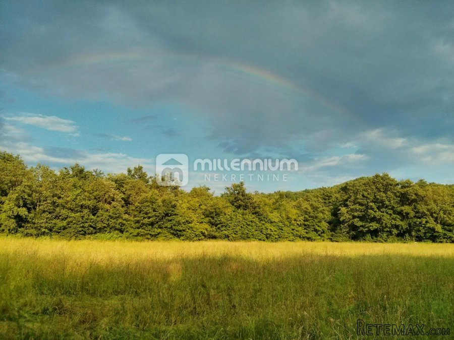 Istra, Labin, poljoprivredno zemljište od 24.999m2