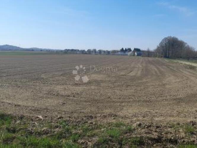 16.800m2 ili 931m2