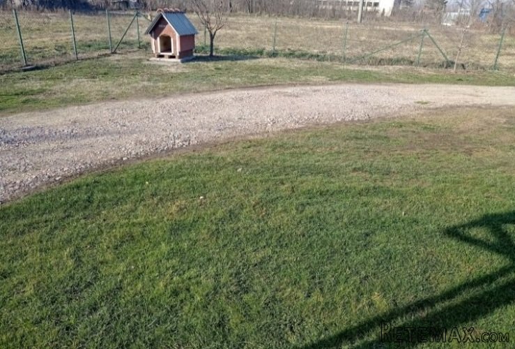 Dve kuce na prodaju Baric-Obrenovac - 18