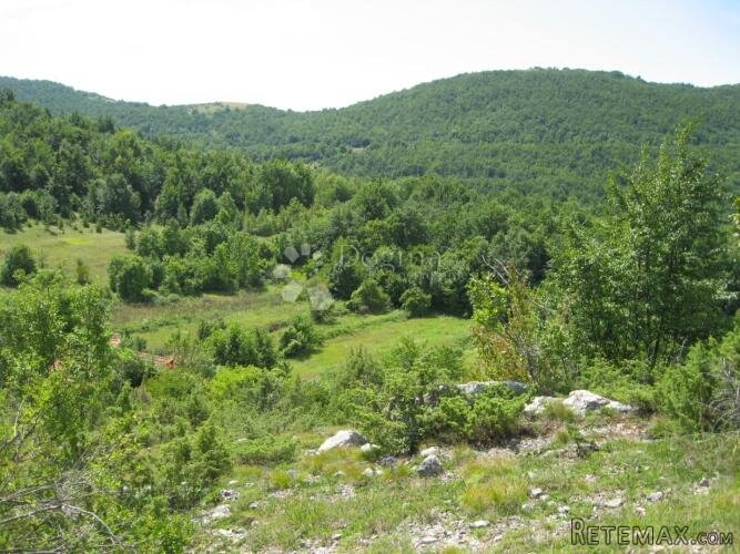 SEOSKO IMANJE U LICI - 2